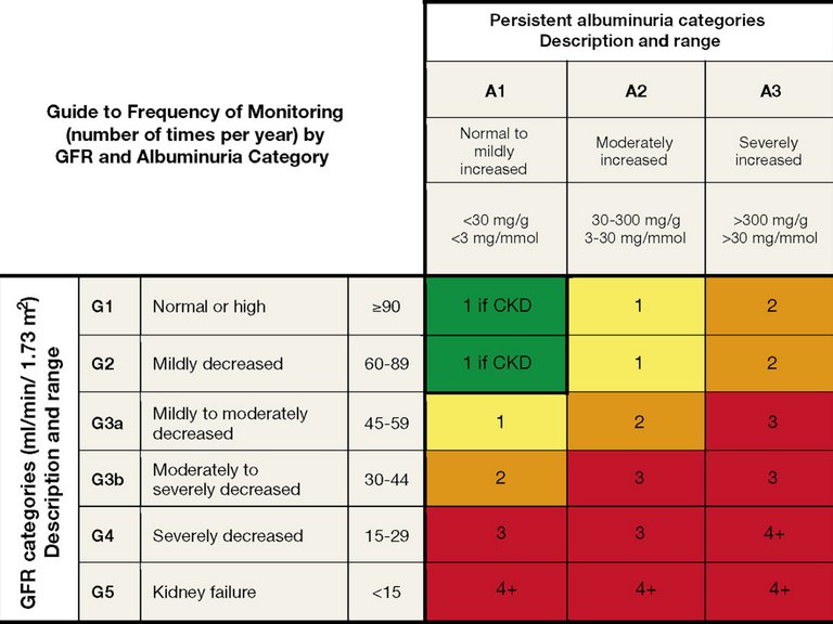 GFR and albuminuria grid to reflect the risk of progression by intensity of coloring