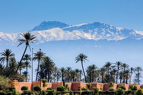 Palm trees and the High Atlas Mountains